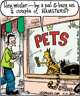 cartoon with cats outside a pet shop wanting to buy hamsters