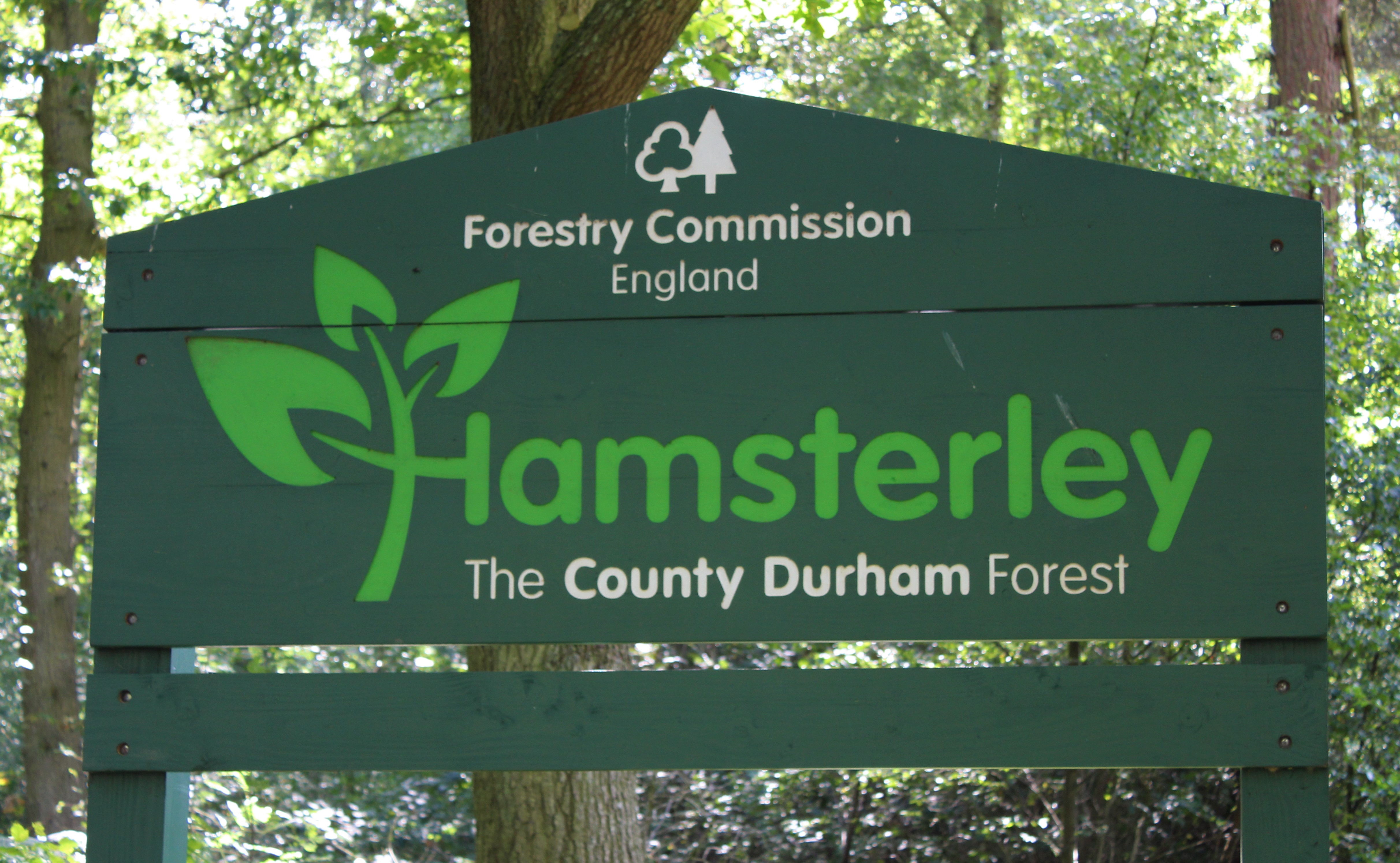 sign for Hamsterley Forest