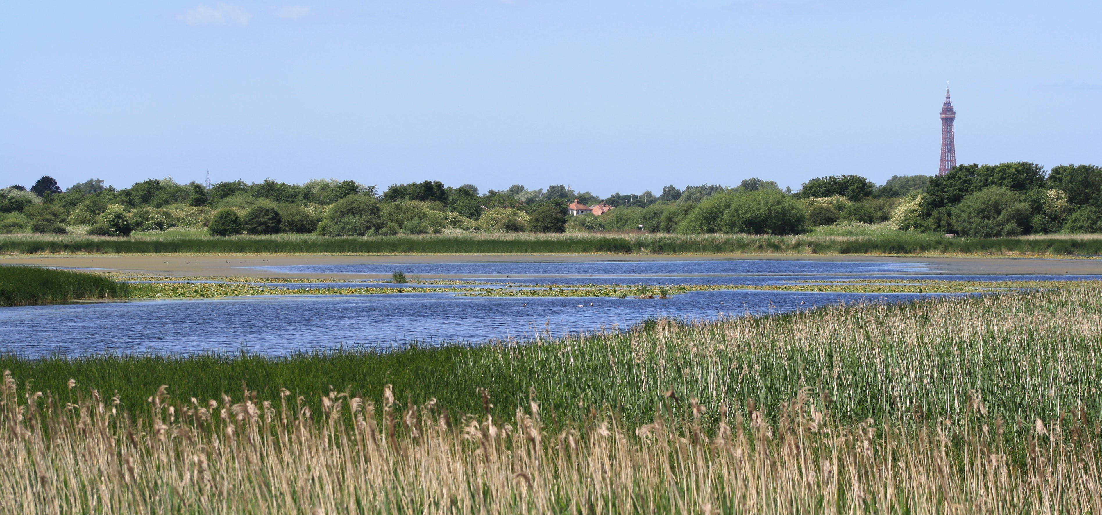 Marton Mere nature reserve