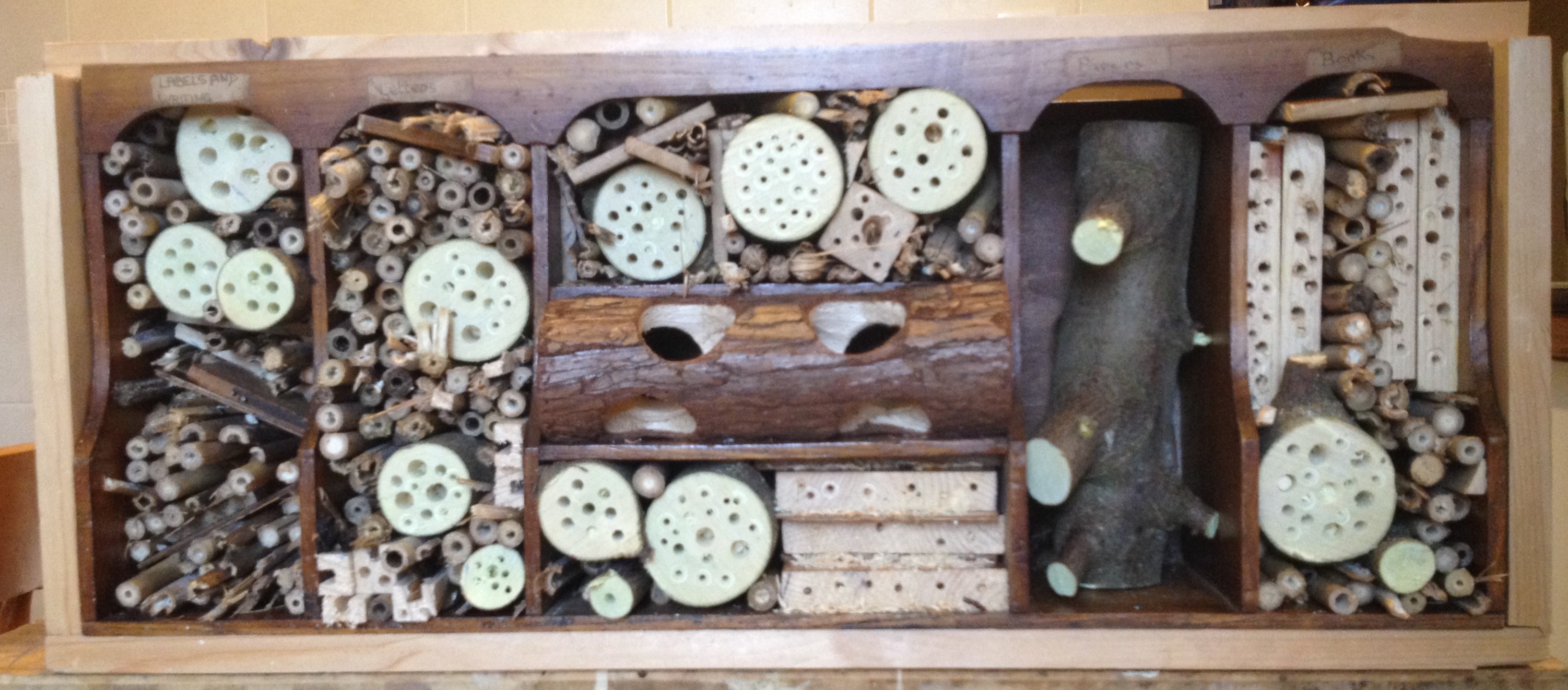 bug hotel