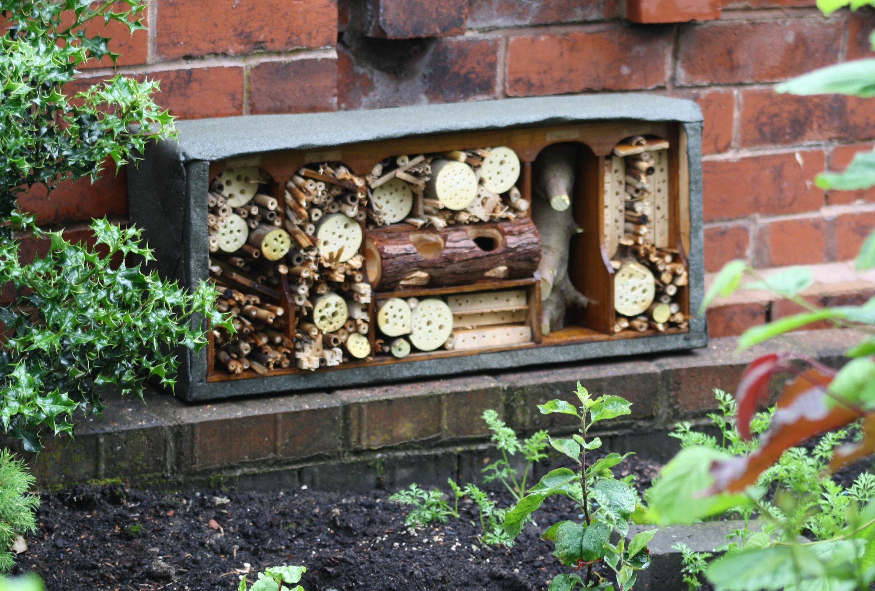 bug hotel in the garden