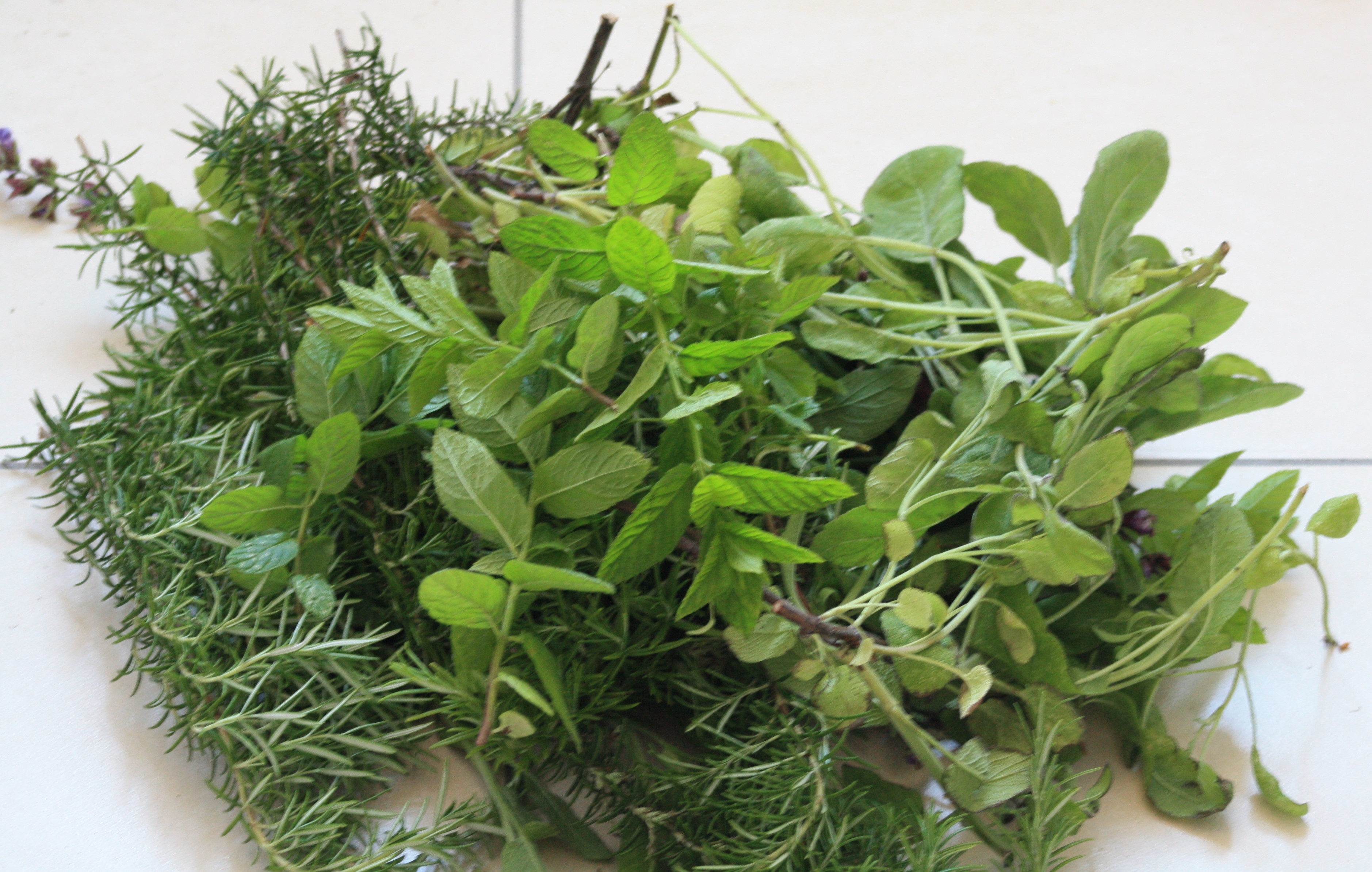 pile of herbs