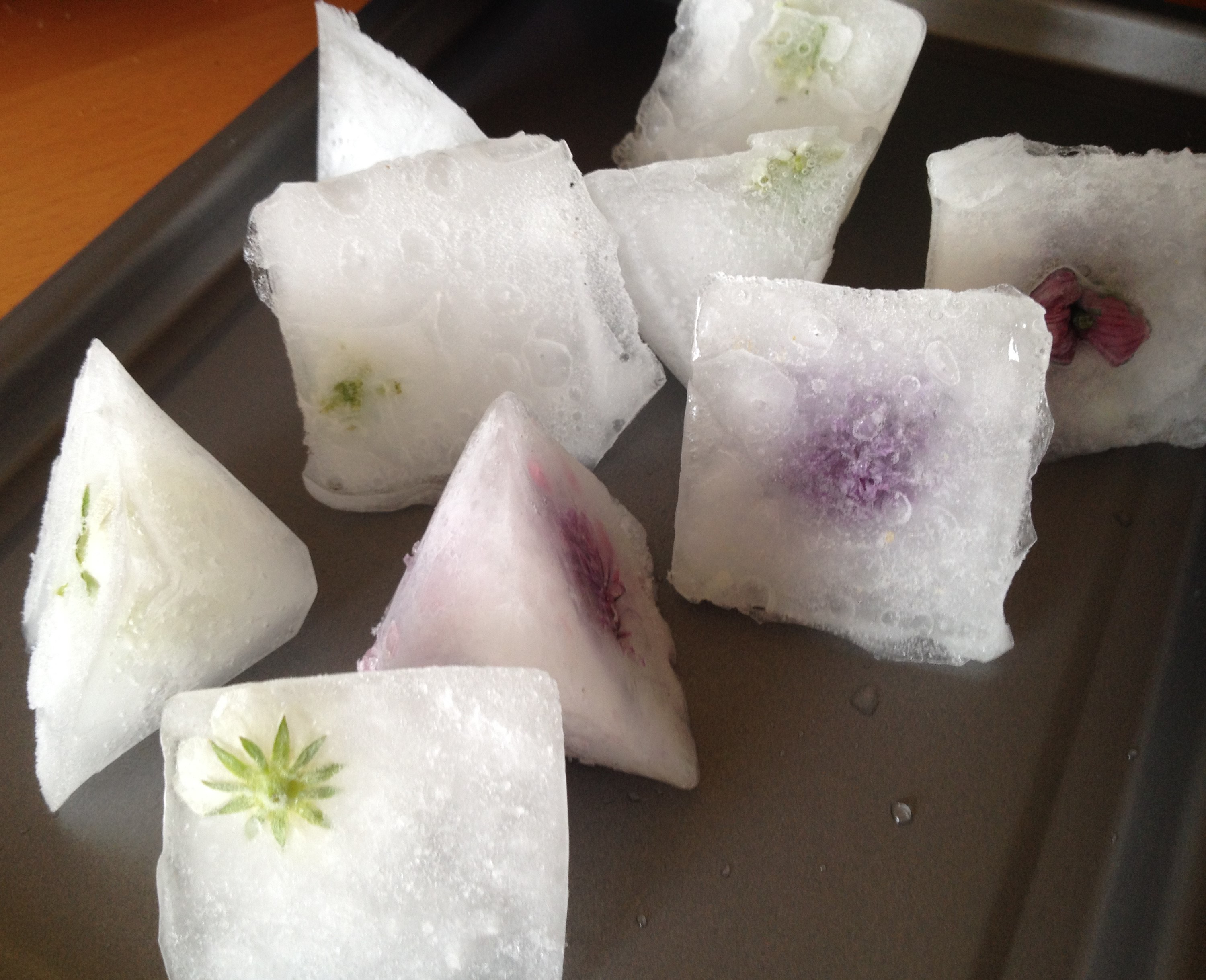 ice cubes containing flowers