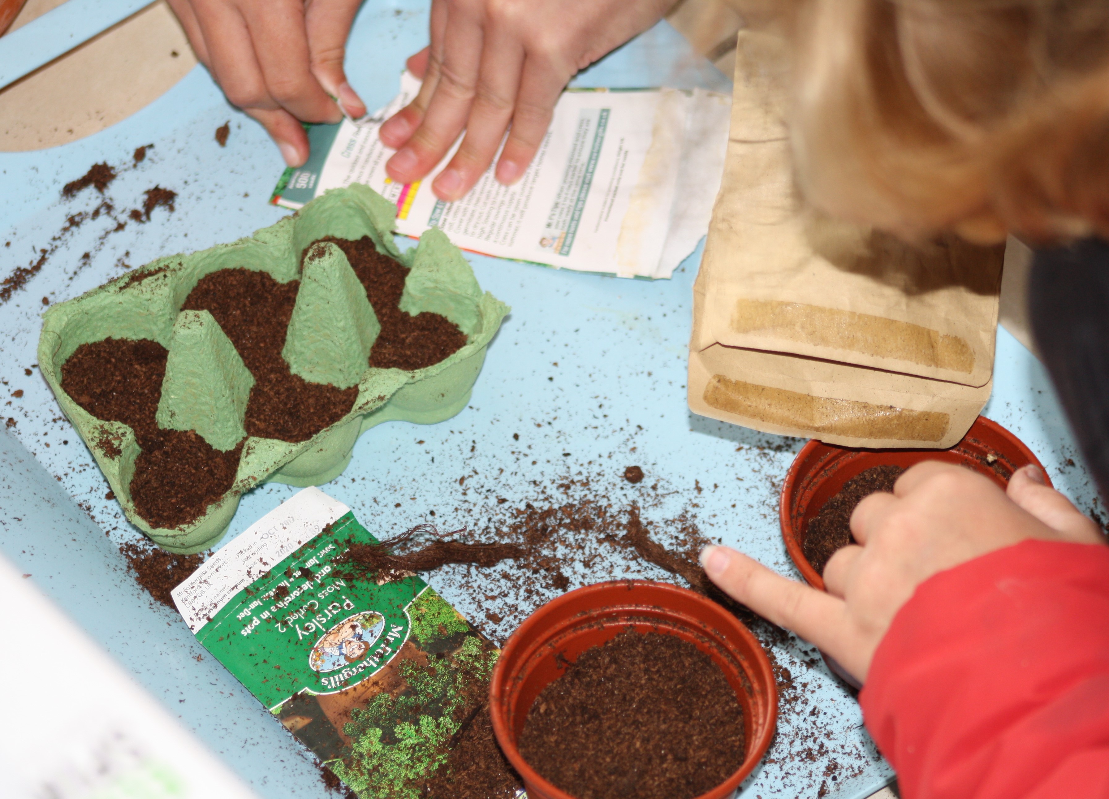 planting seeds