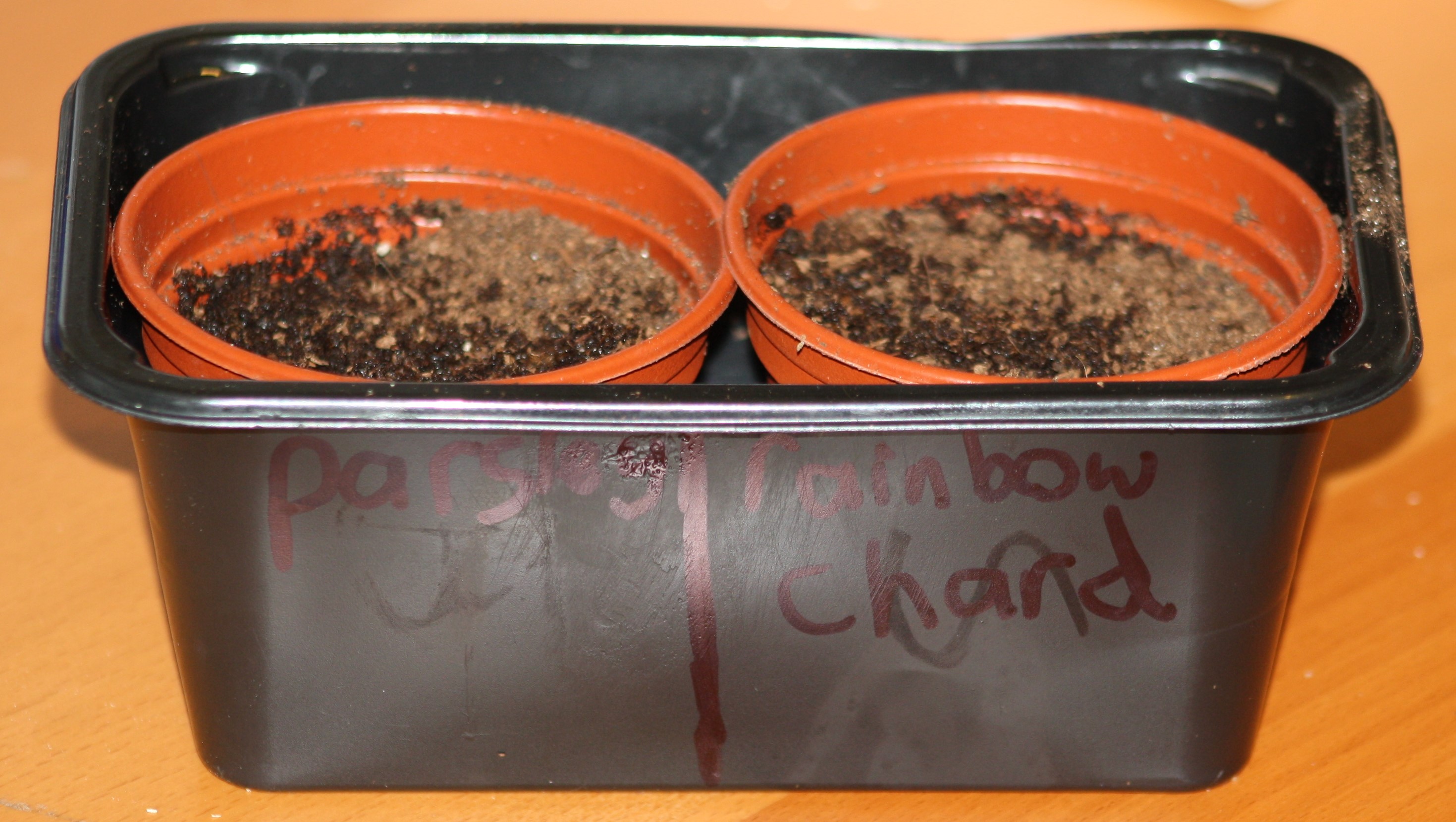 plant pots filled with compost