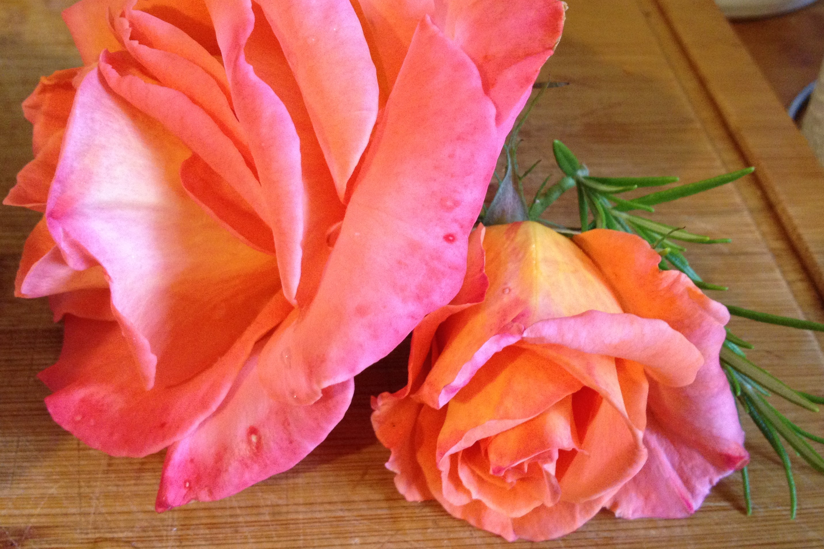 pink roses and rosemary sprig