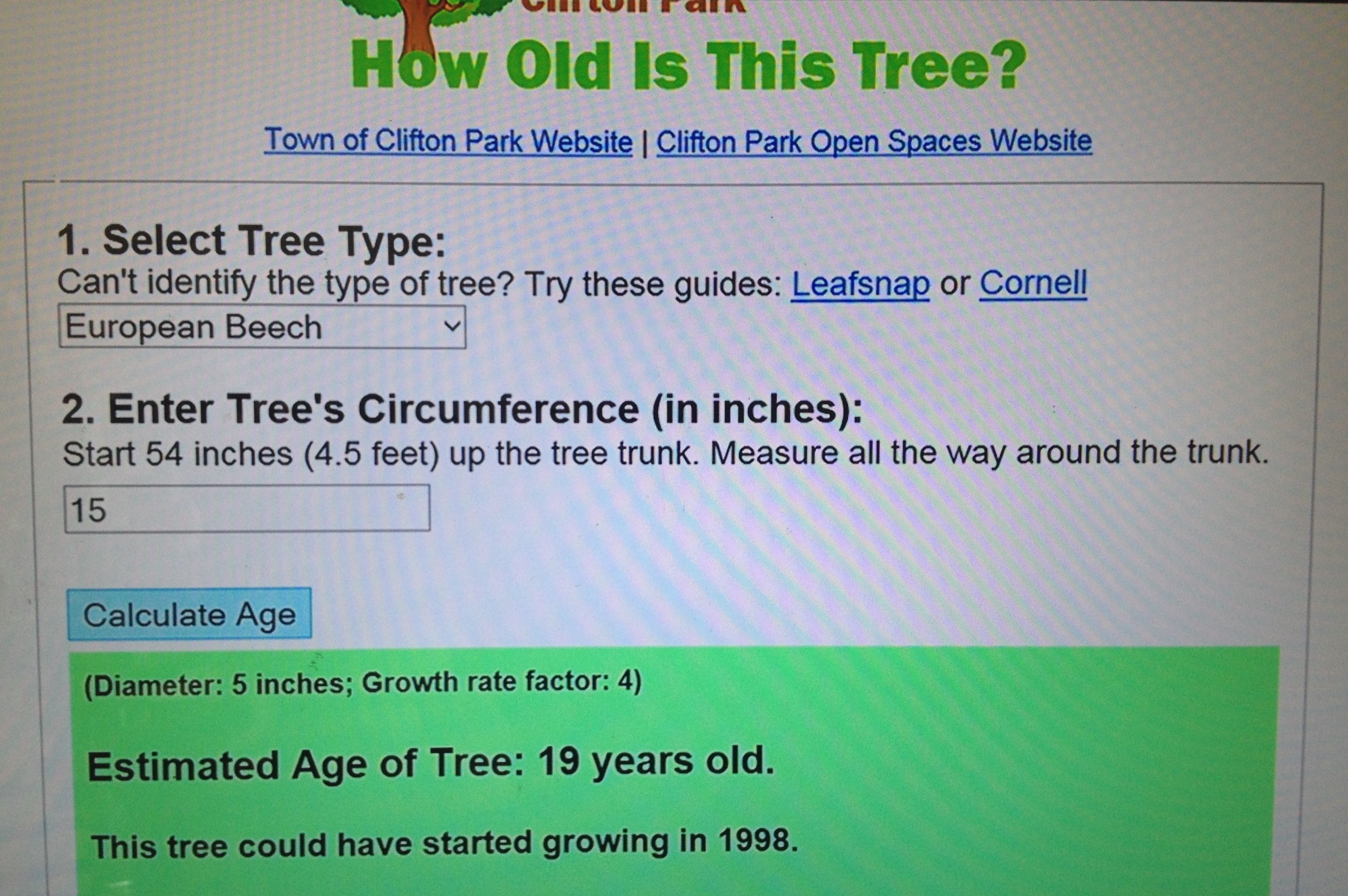 website showing tree age