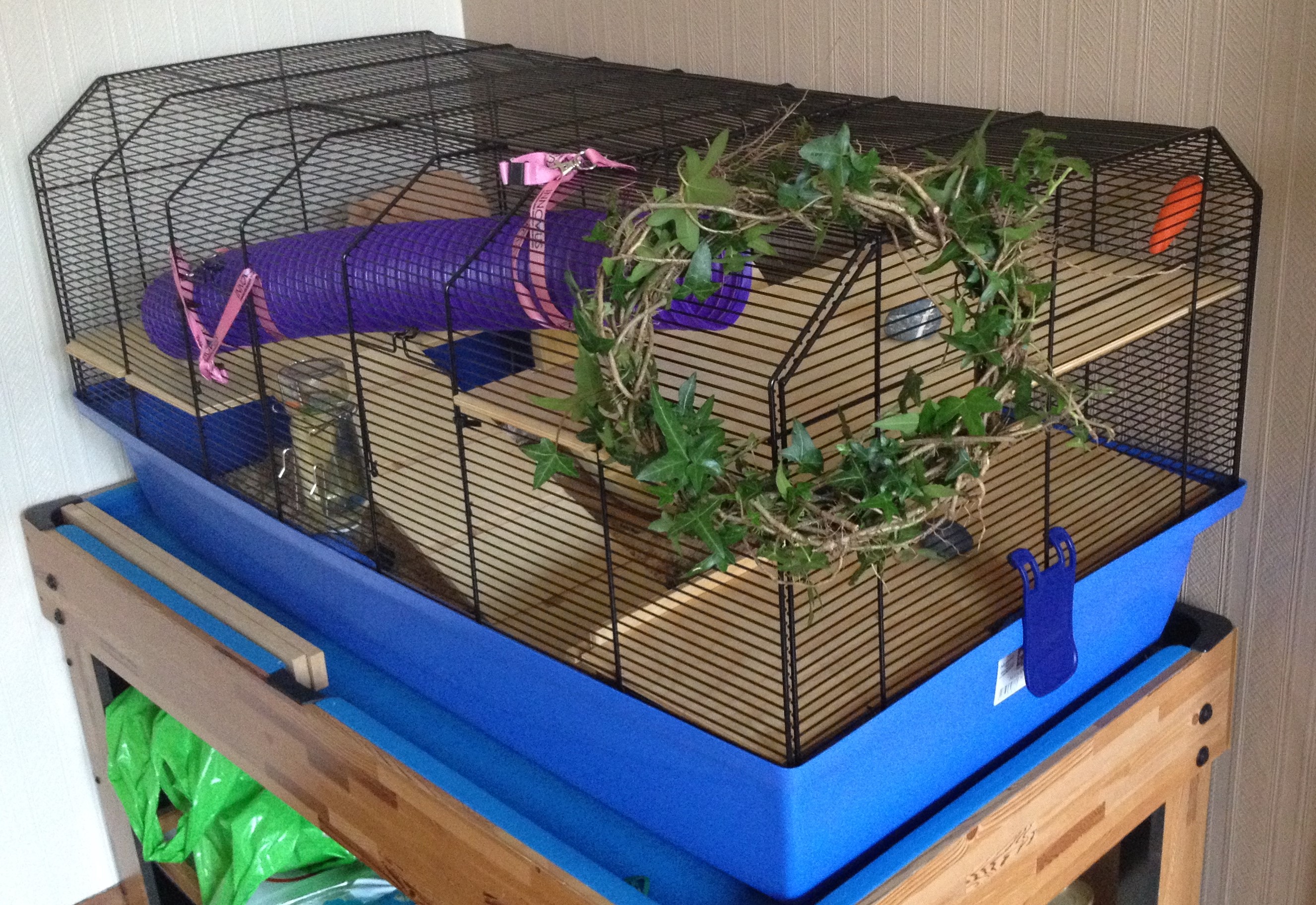 ivy wreath on cage