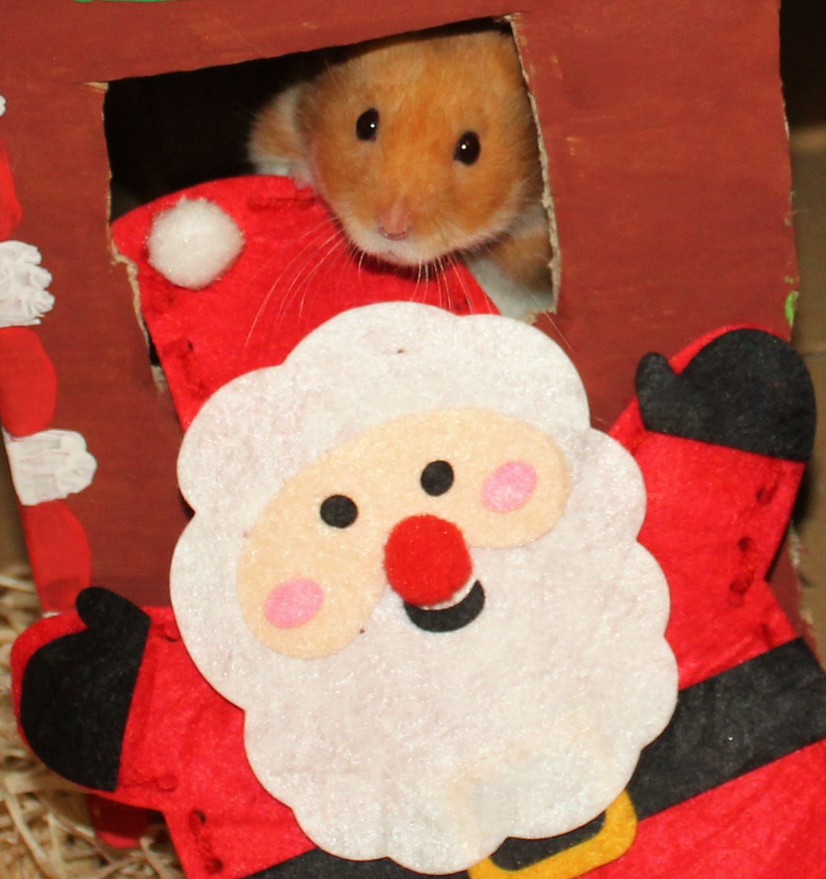 photo of Milku with a small Santa Claus puppet