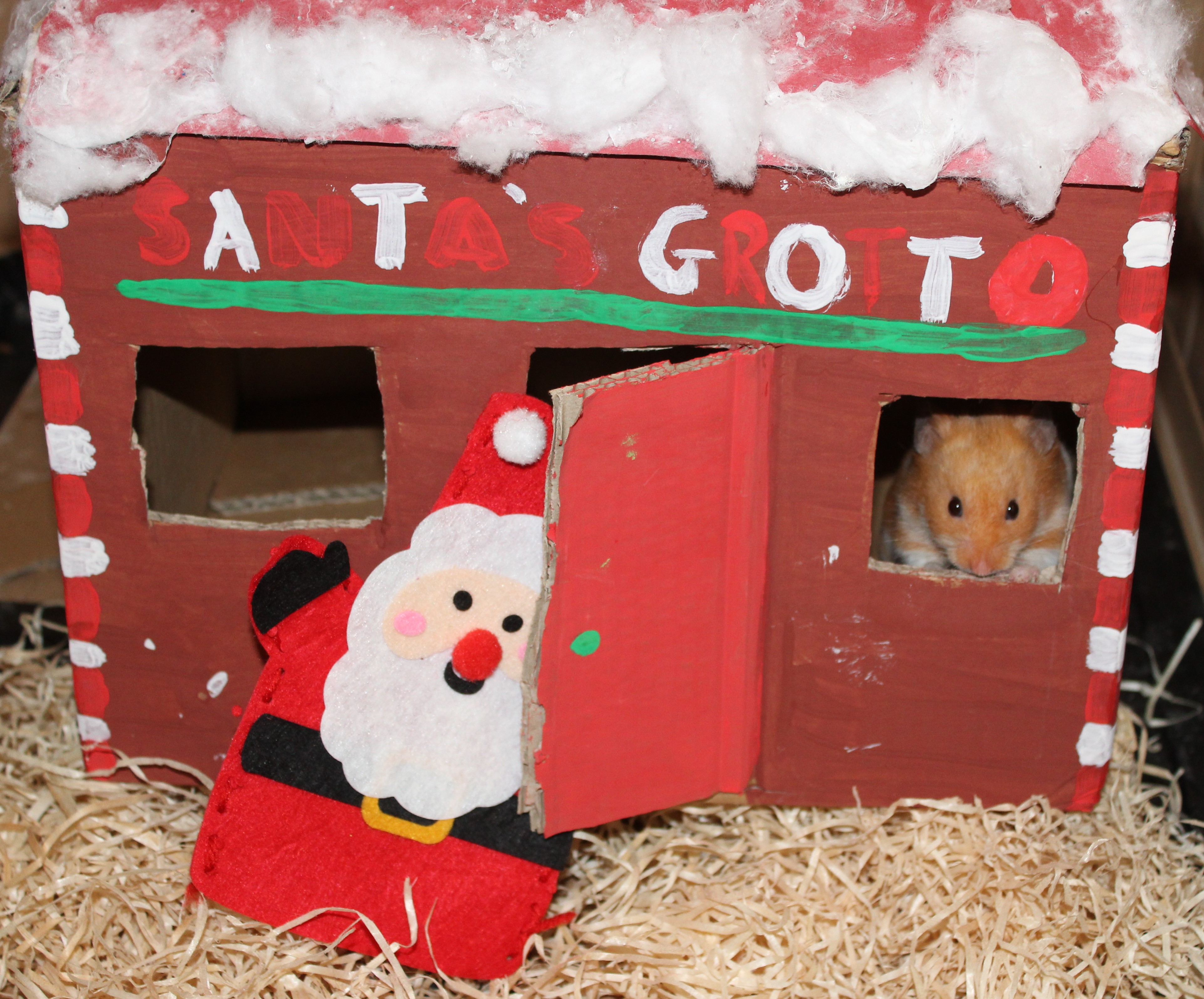 Photo of Milku with cardboard Santa's House