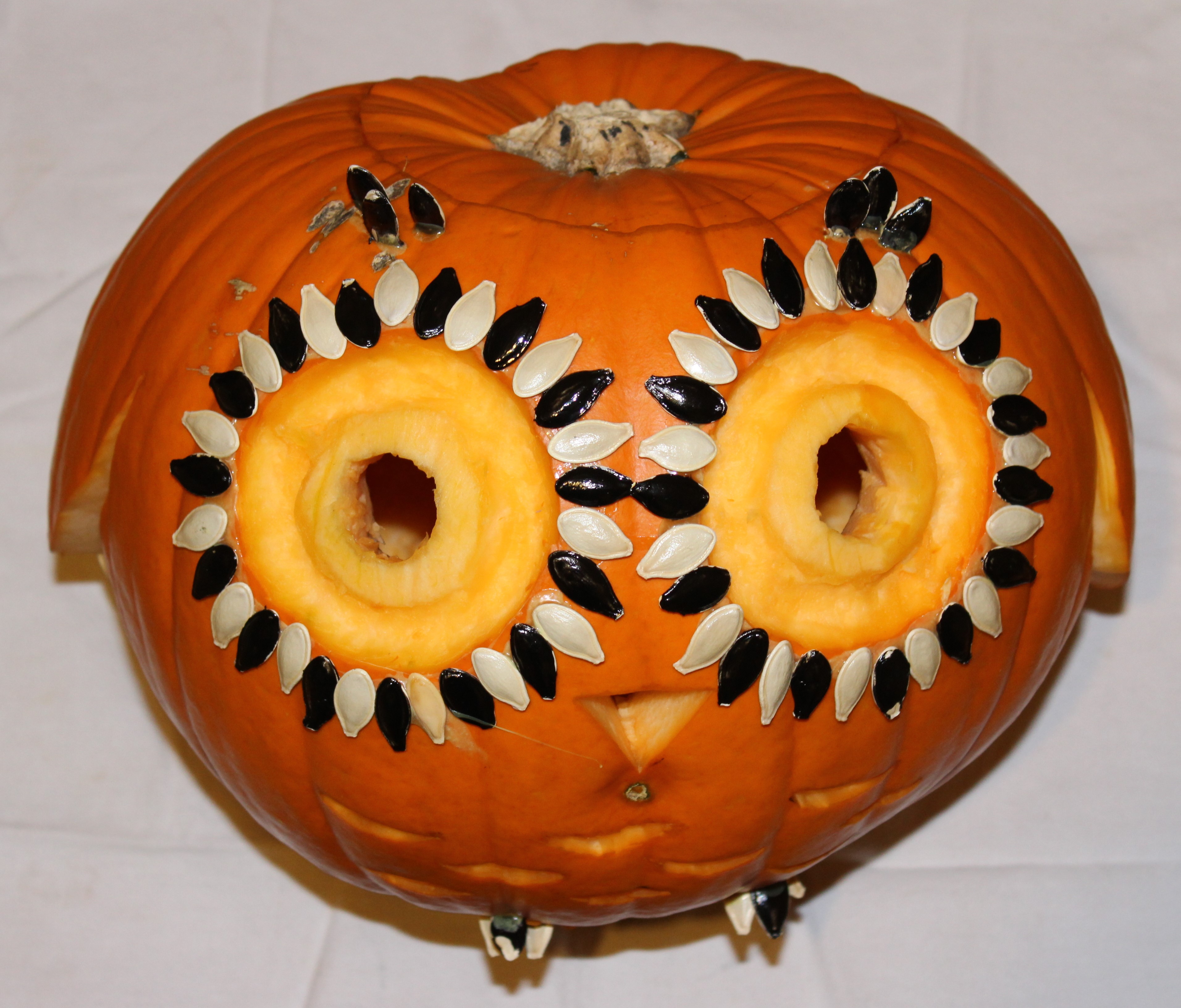 owl pumpkin