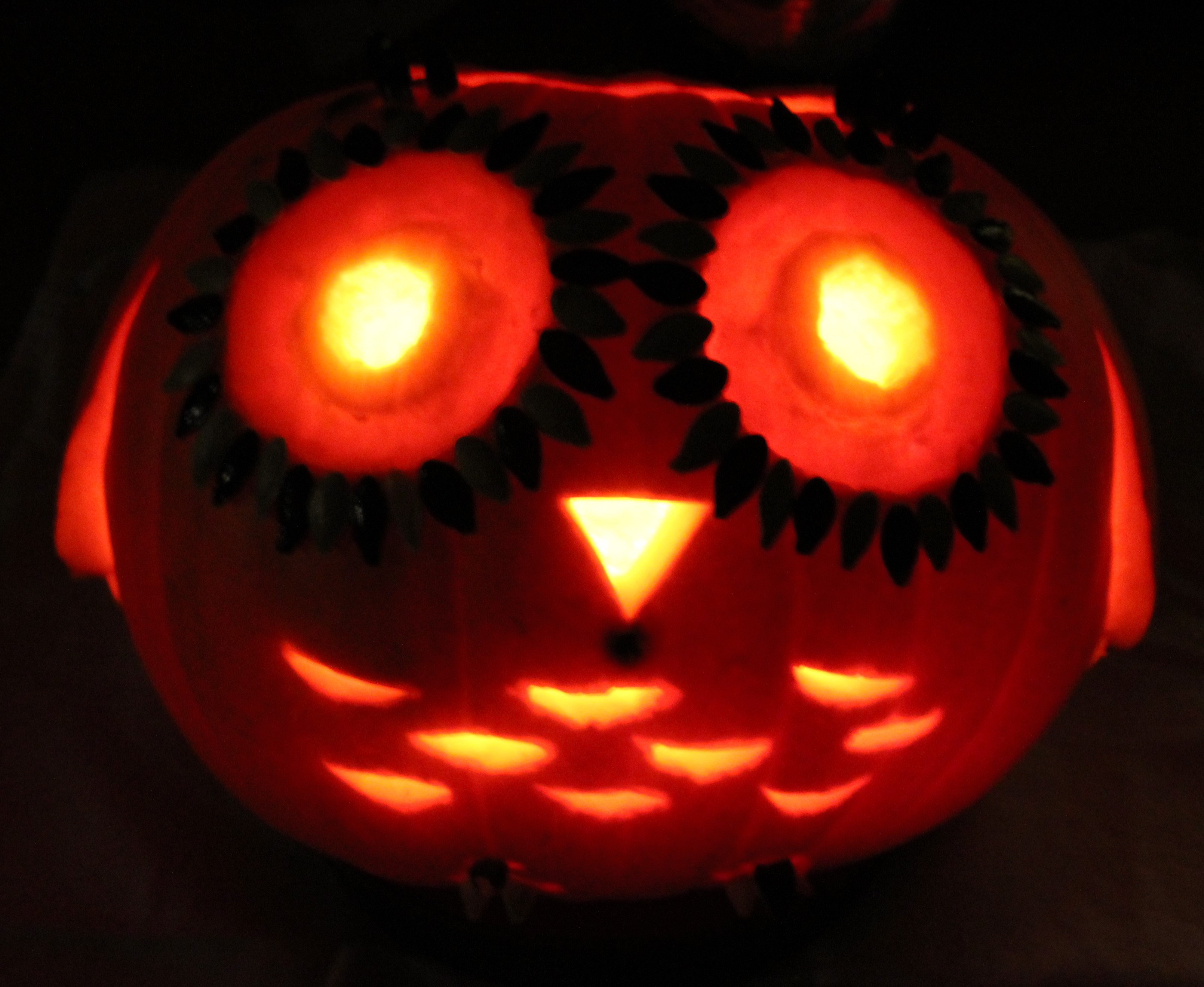 illuminated owl pumpkin