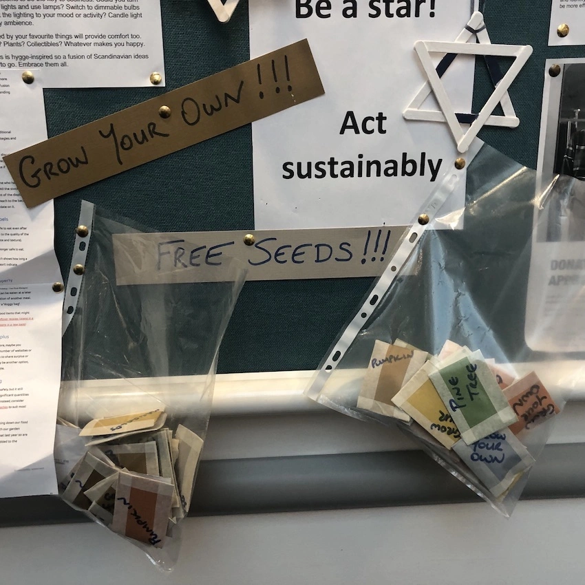 noticeboard containing a sign advertising free seeds and bags full of small seed packets