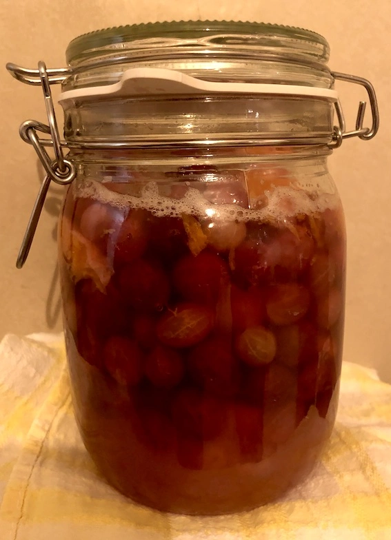 Glass preserving jar filled with red liquid and fruits, with bubbles on the surface