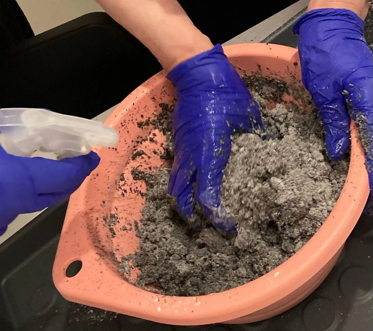 hands wearing purple vinyl gloves mixing compost while water is being sprayed from a bottle