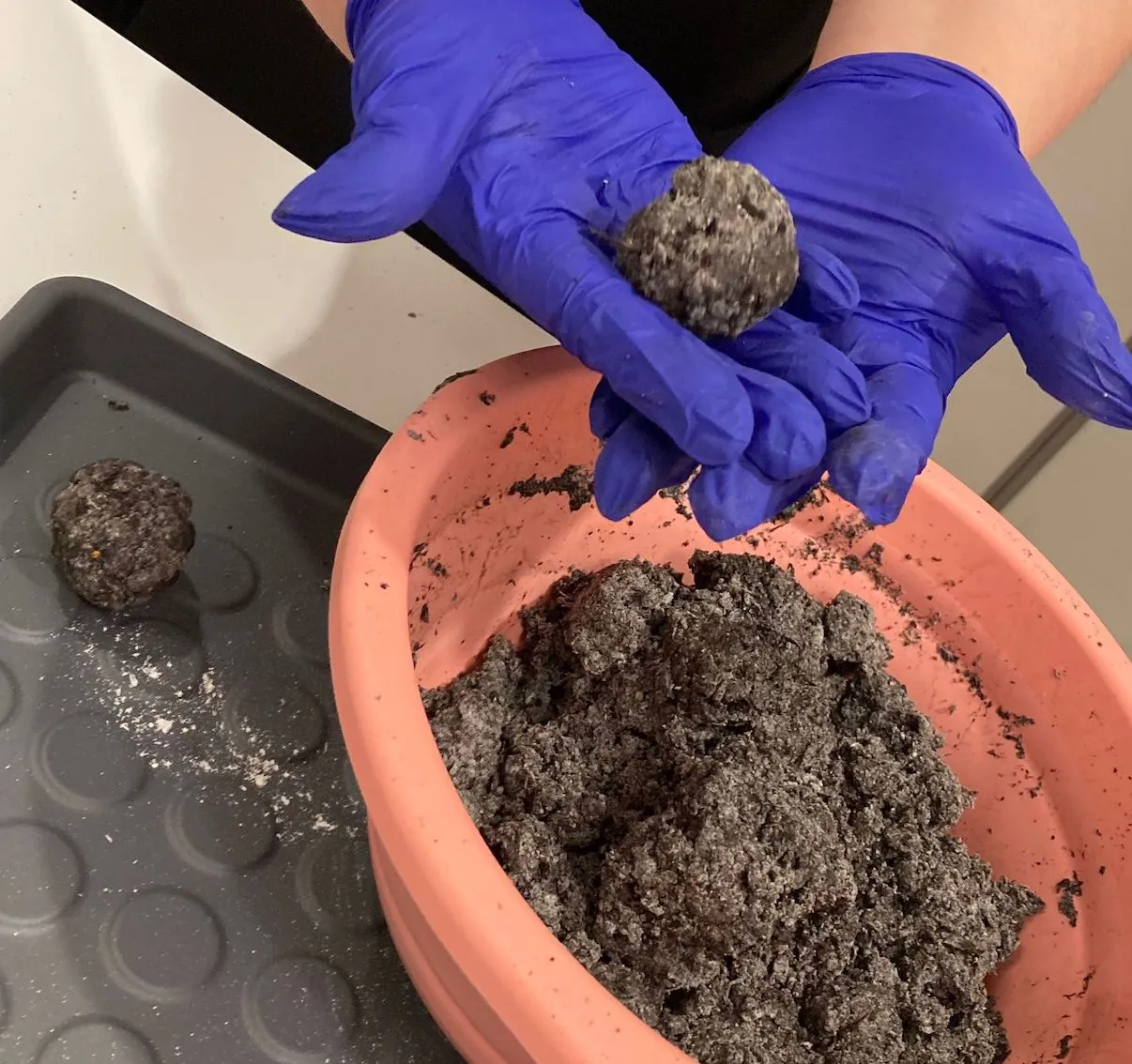 hands wearing purple vinyl gloves holding a seed bomb above a bowl of compost mixture