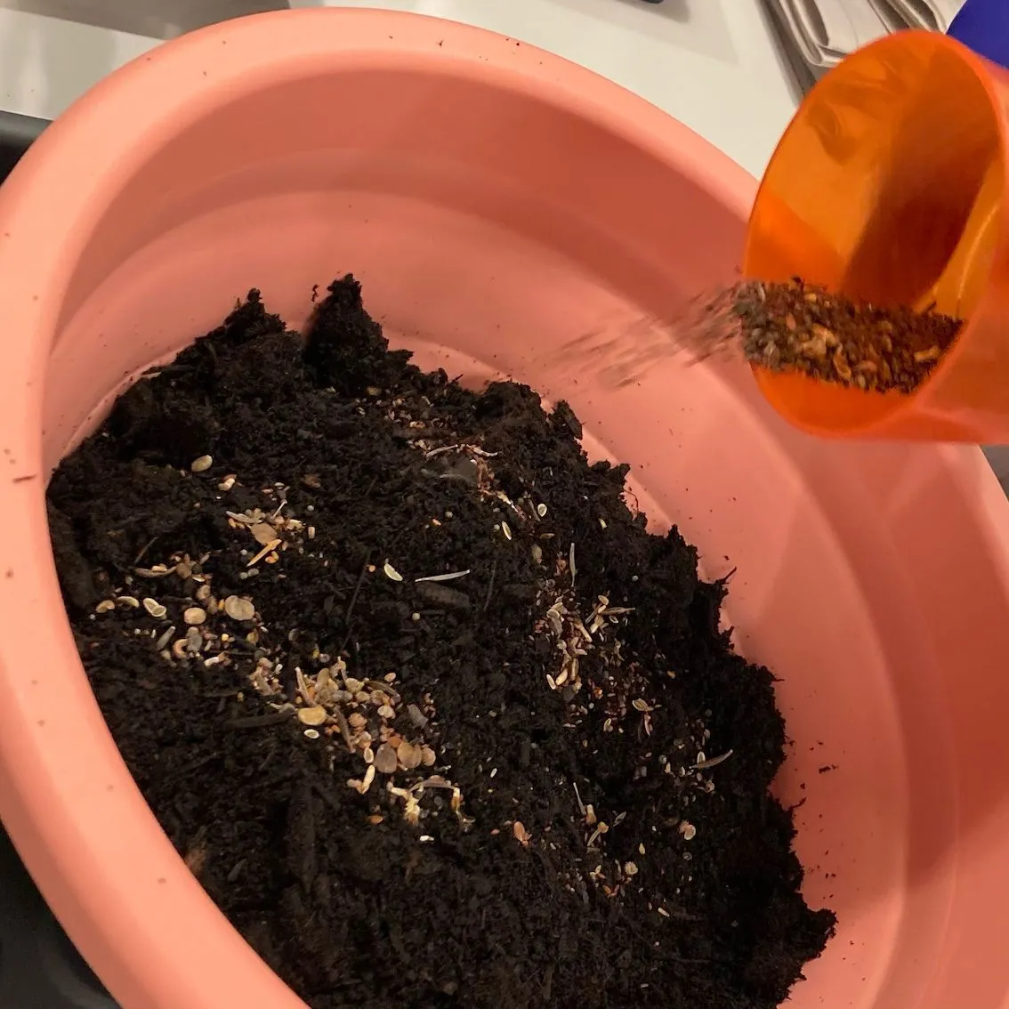 seeds being poured from an orange cup onto a bowl full of compost