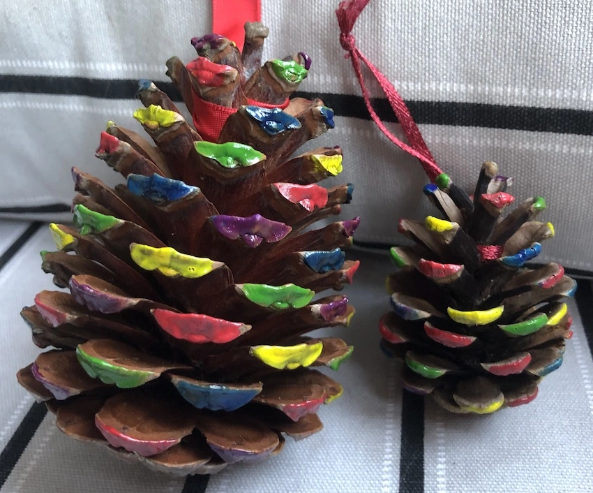 Pine cones coloured with multi-coloured paint