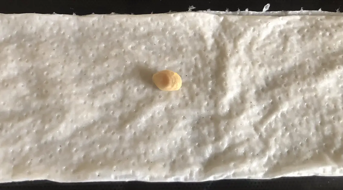 orange pip on a rectangular piece of wet, white kitchen roll