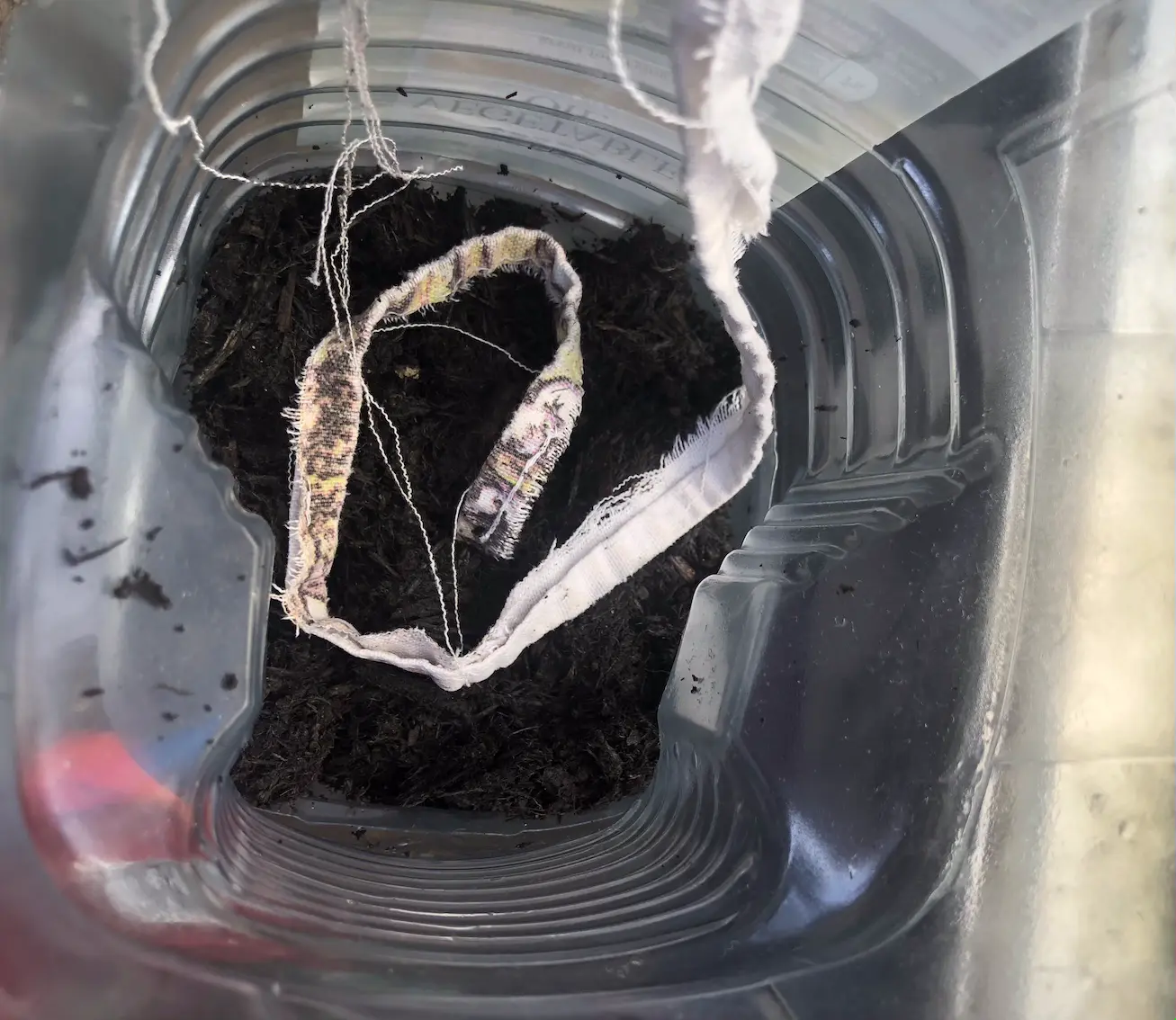 view from above of a plastic container, with compost at the bottom and a thin strip of fabric coiled on top