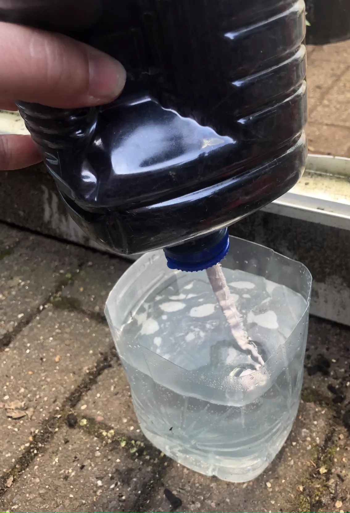 planter made from a plastic oil bottle, a container containing compost is being held above a water-filled bottom reservoir, with a dangling wick