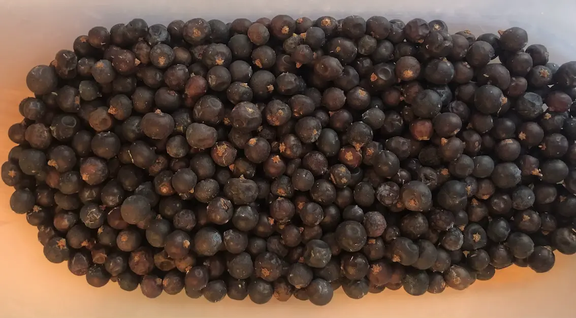 dried juniper berries